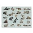thumbnail image 1 of Cat Cutting Board, Illustration of Funny Playful Cats on Plain Background Animals Kitten Pattern, Decorative Tempered Glass Cutting and Serving Board, Small Size, Brown Black White, by Ambesonne, 1 of 1