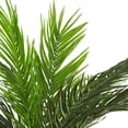 thumbnail image 3 of Northlight 7.5' Unlit Artificial Potted Phoenix Palm Tree, 3 of 4