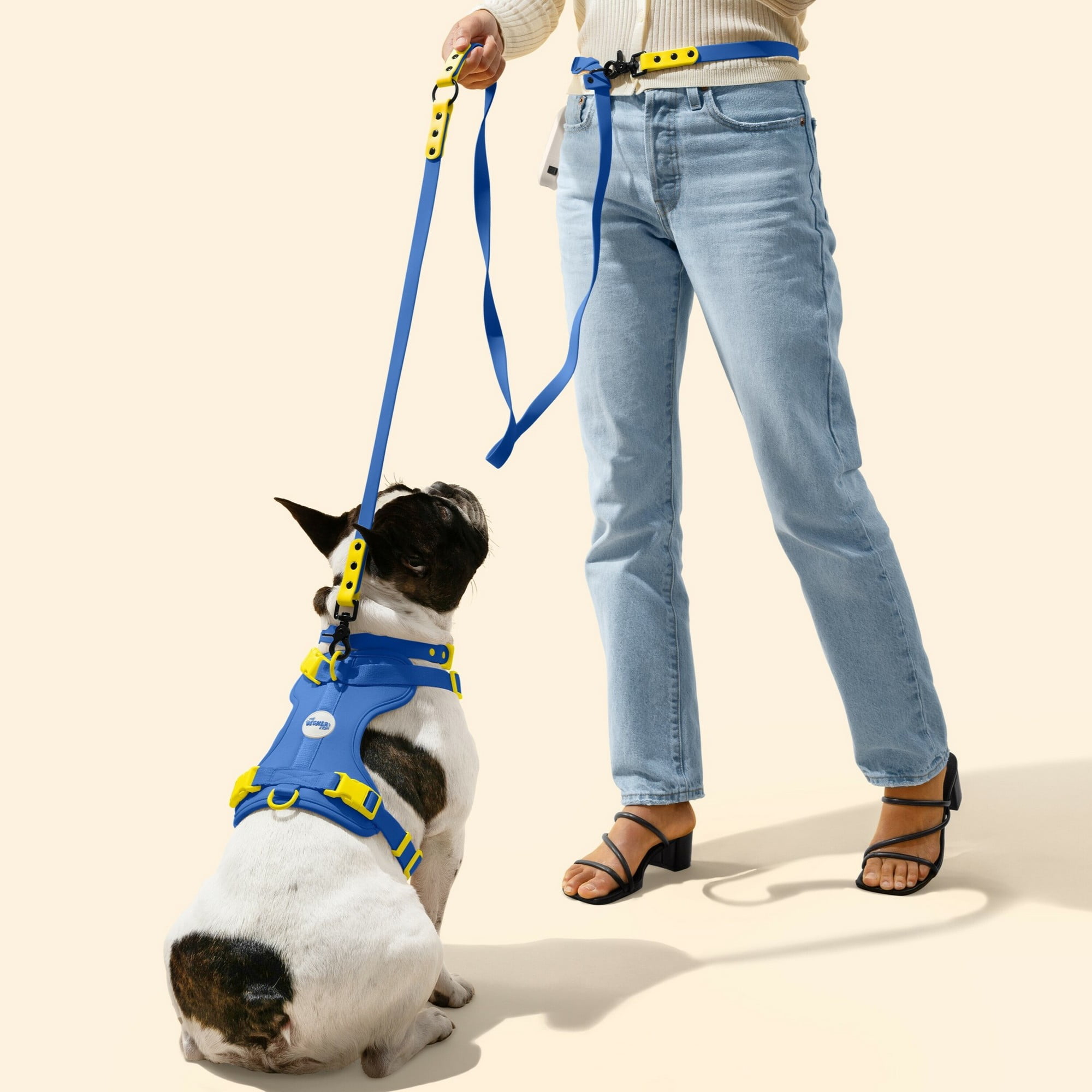 THE LICKER STORE Luna Large 8FT Adjustable 6-in-1 Waterproof Hands-Free Leash and Collar with LED Flashlight, Bag Dispenser, and Poop Bag Holder, Dark Blue/Yellow, WLK1006C-5SET