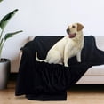thumbnail image 1 of Manta Impermeable para Perros Perfecl Franela Doble Cara Negro S, 1 of 8