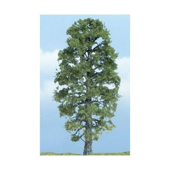 Premium Trees - Basswood (4") New