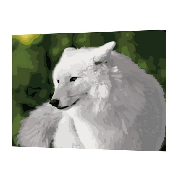 Pintura de Paisaje de Bricolaje Por Kit de Números Pintura Al Acrílica en La Decoración para hogar de Art renard blanco