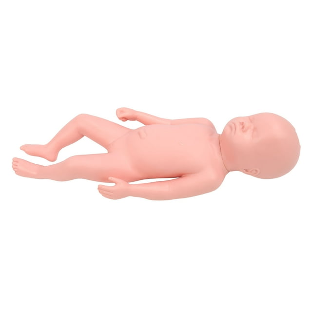 Baby Simulator Model, Baby Simulator Doll Full Term Lifelike for Hospital for Training