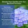 thumbnail image 2 of ⭐ 𝐁𝐄𝐒𝐓𝐒𝐄𝐋𝐋𝐄𝐑 Slow Release Hydrangea Fertilizer with Iron & Sulfur – Indoor & Outdoor Soil Acidifier for Miracle Growth [8 OZ], 2 of 6