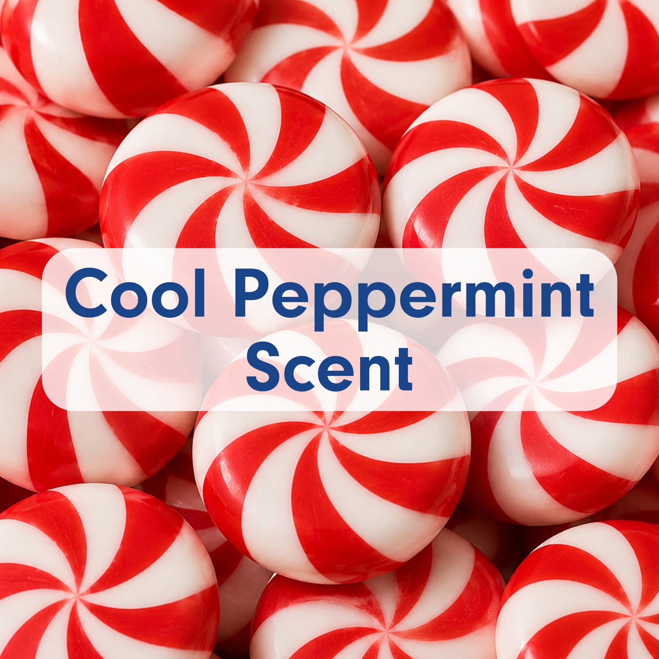 Softsoap Limited Edition Liquid Hand Soap, Cool Peppermint Scent, 7.5 fl oz