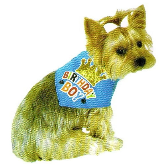 Birthday Boy Pet Bandana (Medium/Large)