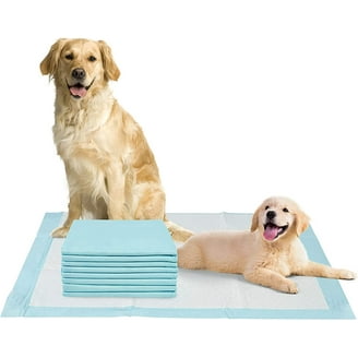 PROcure XXL Disposable Bed Pads, Human Grade, Absorbent Pet