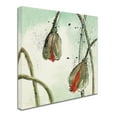thumbnail image 2 of Trademark Fine Art 'Not a California Poppy II' Canvas Art by Chris Paschke, 2 of 3