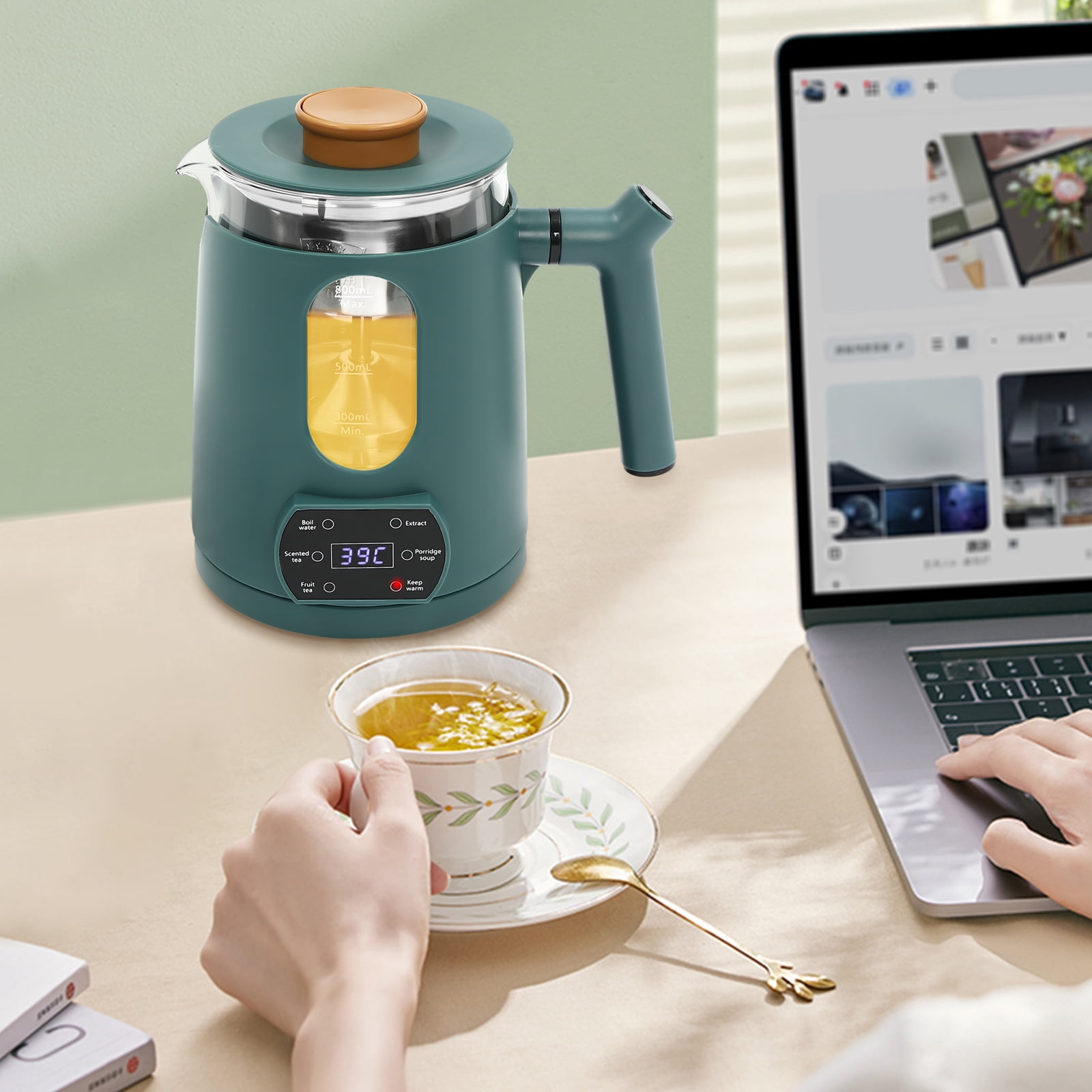 Wildnix 27oz Electric Kettle with Digital Display, Stainless Steel Tea Steamer Mesh, Beak-shaped Spout, and Comfortable Handle