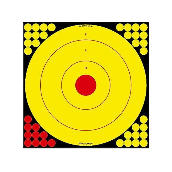 Birchwood Casey Long Range 17.75" Bullseye Target 5PK with 200 Pasters