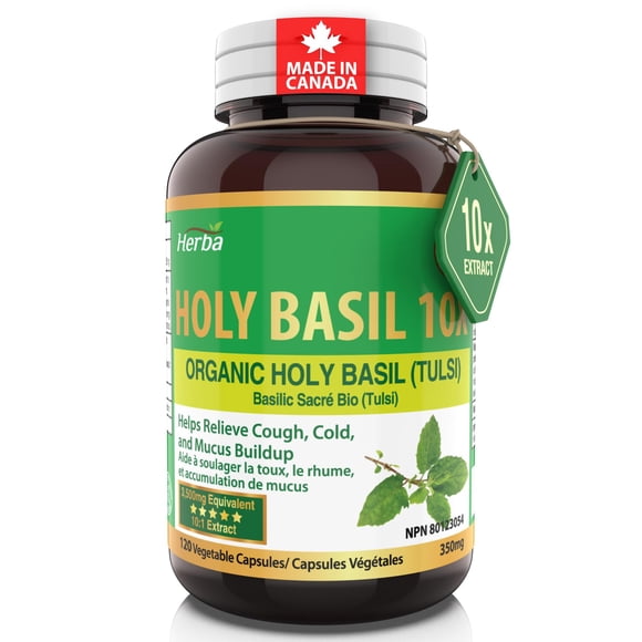 Herba Organic Holy Basil Capsules – 350mg | 120 Capsules | 3,500mg Equivalent - 10:1 Extract | Made in Canada
