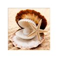 thumbnail image 1 of 5d diamante para concha perla estrella de mar bordado para punto de cruz pintura DIY decoración del hogar Feliz Sencillez, 1 of 5