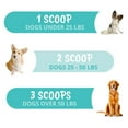 thumbnail image 3 of Under the Weather Pet | Probiotic Powder for Cats | Vet Formulated Probiotic Supplement for Digestive Gut Health (4.23 oz), 3 of 6