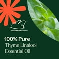 thumbnail image 5 of Plant Therapy Thyme Linalool Essential Oil 30 mL (1 oz) 100% Pure, Undiluted, Natural Aromatherapy, 5 of 9