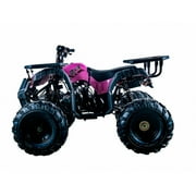 مركبة ATV Vitacci Rider 10 سعة 125 سم مكعب أوتوماتيكية بالكامل مع وضع الرجوع للخلف متوسطة الحجم مخصصة للطرق الوعرة فقط لجميع التضاريس