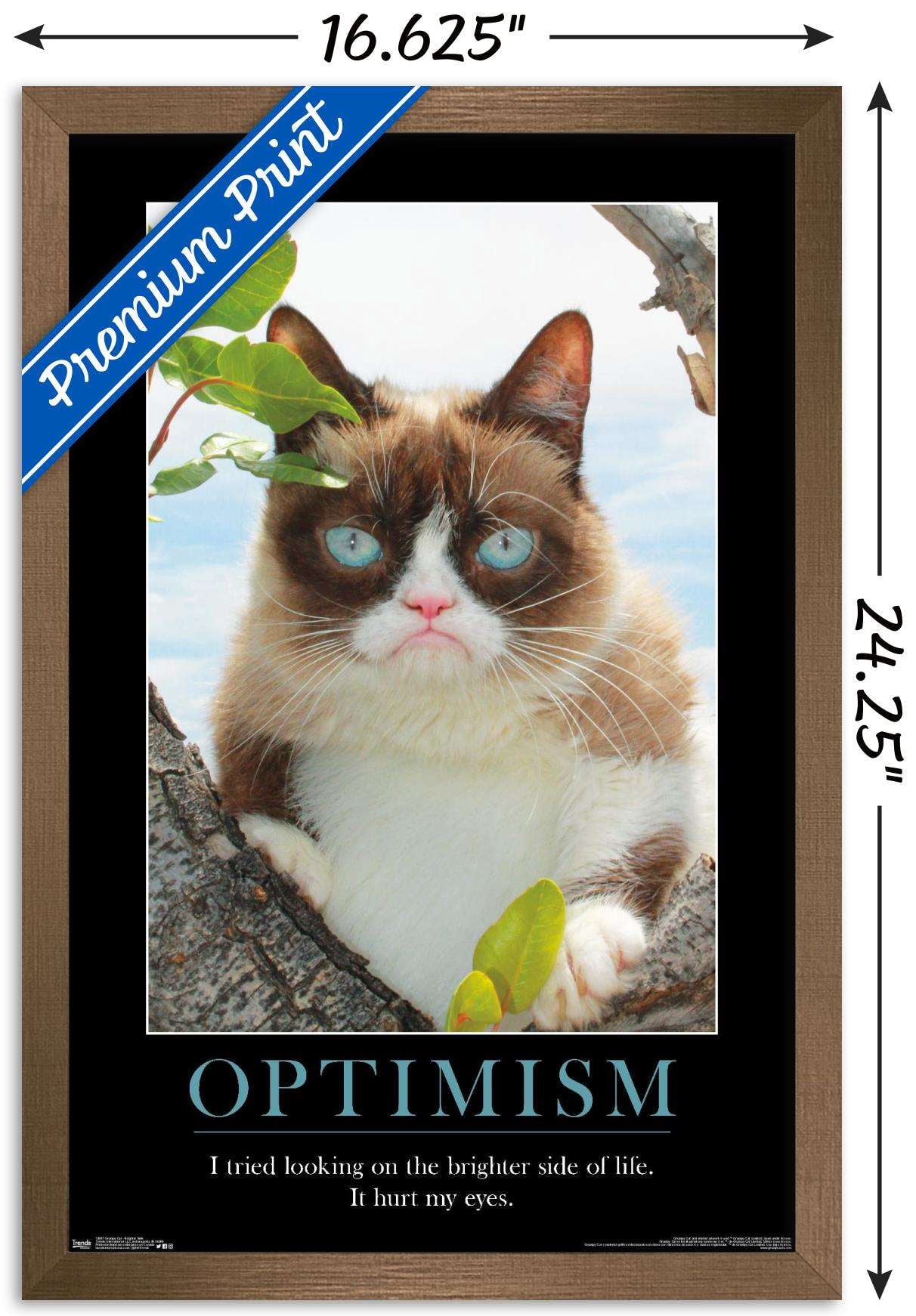 Grumpy Cat - The Brighter Side Wall Poster, 14.725" x 22.375", Framed