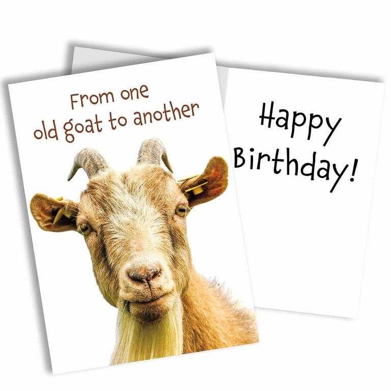 Fun Happy Bday Card