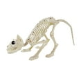 thumbnail image 3 of Rongfmy Décoration d'Halloween Squelette de Chat Os de Chat pour Pelouse Intérieure Extérieure Jardin, 3 of 9