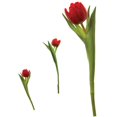 thumbnail image 1 of Tulips Peel & Stick Wall Decals, 1 of 1