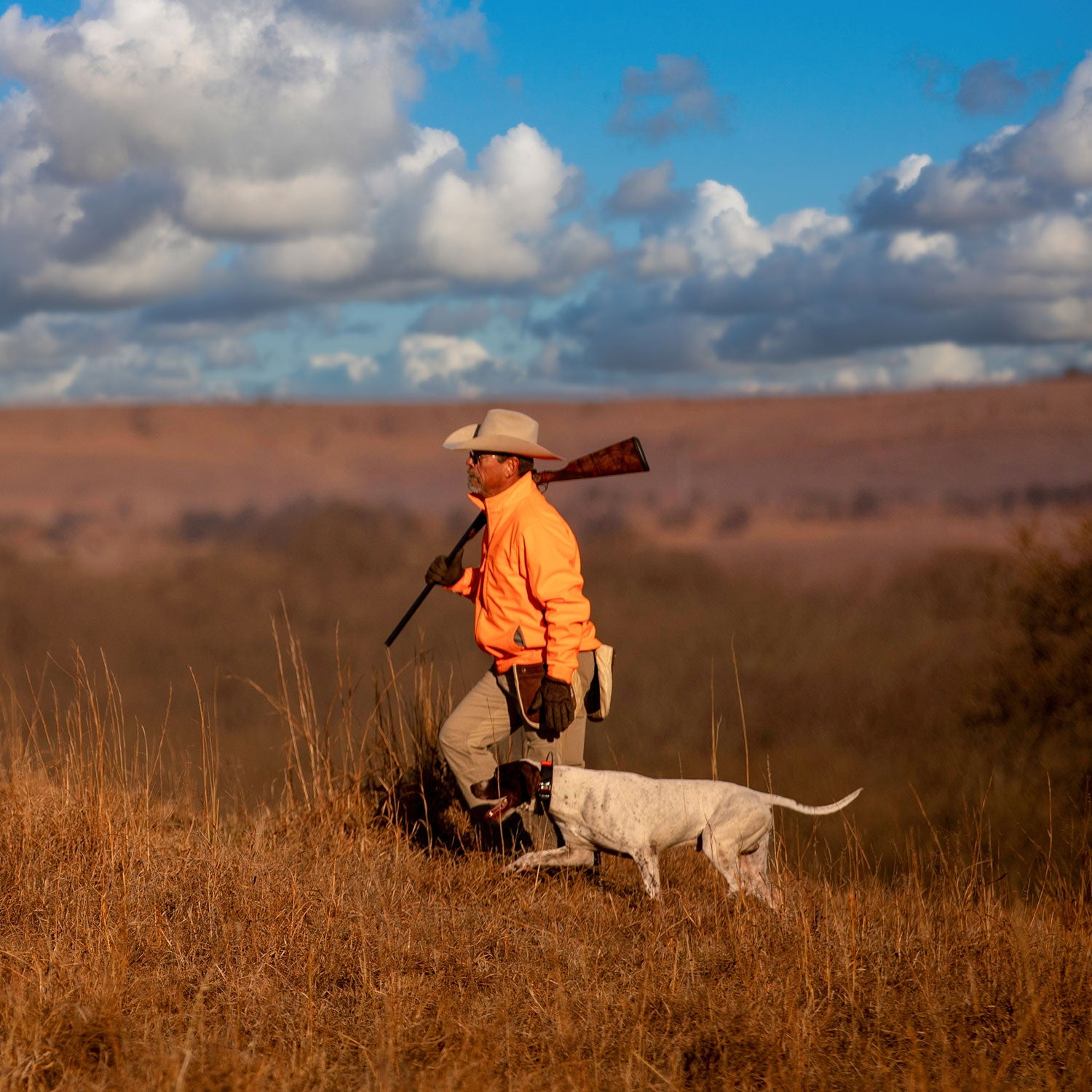 Garmin Alpha 300i (GPS Only) Dog Tracker Handheld with inReach Technology Bundle with Garmin Field Bag