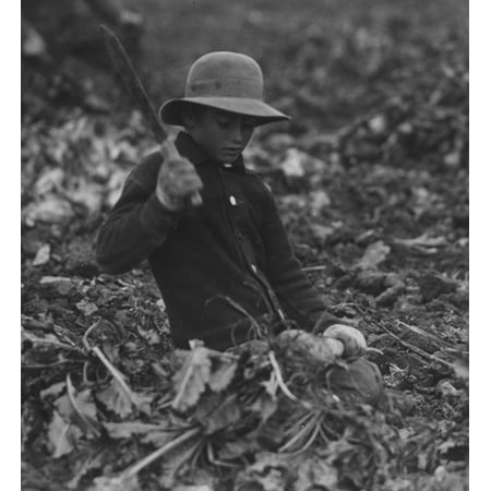 Art Sculptures Near Me 12 year old Lahnert boy near Ft Collins Colo topping beets The father mother and two boys expect to make 700 in about 2 months time in the beet work The boys can keep up with me all right and all day ()