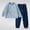 Light Blue, variant on Chibenne Boys Girls Fleece Sweatshirt and Joggers Set, 2-Piece Set Winter Clothes Size 3T