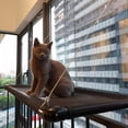 thumbnail image 5 of Transemion Sturdy Cat Hammock Window Perch Suction Cups Mesh Seat Sleeping Bed, 5 of 5