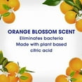 thumbnail image 3 of Lysol Simply™ All Purpose Cleaner,Multi-surface cleaner trigger, Orange Blossom, 650 mL, 3 of 5