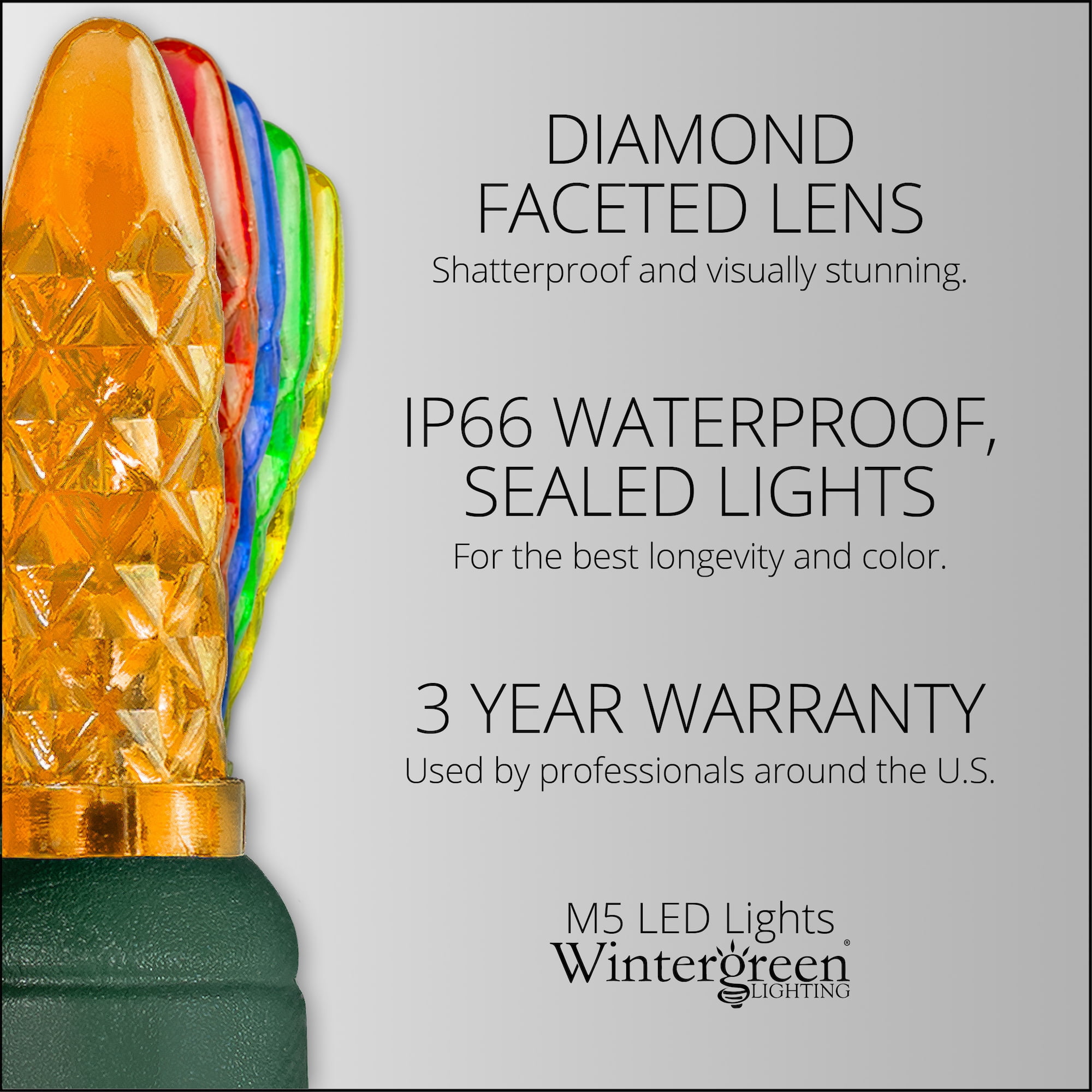 Wintergreen Lighting 70 Multicolor LED Christmas Tree Lights, 4" Spacing, 24', Faceted String Lights for Holiday Party Decoration