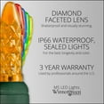 thumbnail image 6 of Wintergreen Lighting 70 Multicolor LED Christmas Tree Lights, 4" Spacing, 24', Faceted String Lights for Holiday Party Decoration, 6 of 8