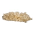 thumbnail image 6 of Kurt S. Adler Kurt Adler 30-Inch Unlit Cream Wreath - White, 6 of 7