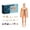 B, variant on Transparent Human Body Structure Model Kit Transparent 3D Human Torso Model DIY Detachable Anatomical Figure Organizer Suitable For 6+ Years Old Halloween Christmas Toys
