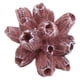 thumbnail image 4 of Adorno de Coral para acuario, pecera suave y duradera, decoración de paisajismo de Coral Artificial, 4 of 5