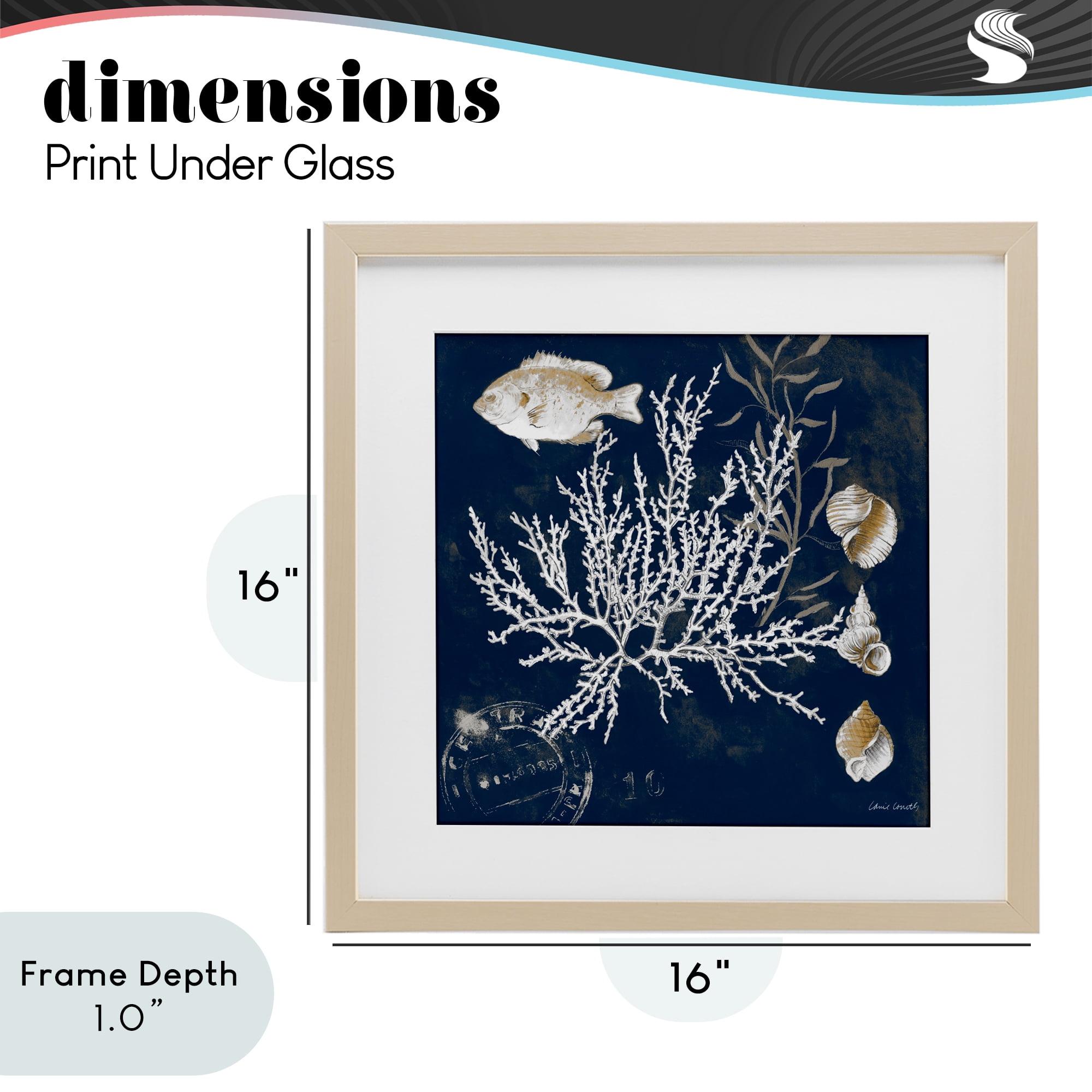Stupell Industries Coral Medley on Blue Birch Framed Print Under Glass, design by Lanie Loreth