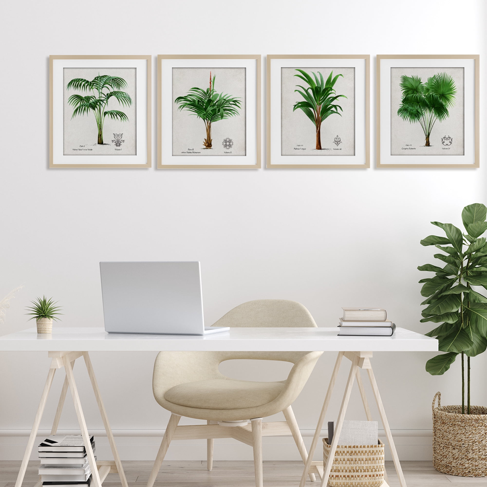 Stupell Industries Palm Varieties Studies 4 Piece Birch Framed Print Under Glass Set, design by Natalie Carpentieri