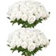 thumbnail image 1 of Flores artificiales VEVOR, rosas falsas de espuma blanca, 60 unidades, 1 of 9