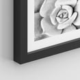 thumbnail image 5 of PixonSign Framed Wall Art Texas Succulent Cactus Posters, Set of 2 Black & White Desert Plants Photography Illustrations Wall Decor, Adhesive Canvas Prints for Home Decor - 12"x16" Black, 5 of 5