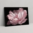 thumbnail image 6 of Pink Bathroom Decor - Bathroom Decor Wall Art Pink Wall Decor Black And White Decor Plant Wall Decor Pink Bedroom Decor Bathroom Pictures Black And White Wall Art Bathroom Decor Stretched 12x16inch, 6 of 6