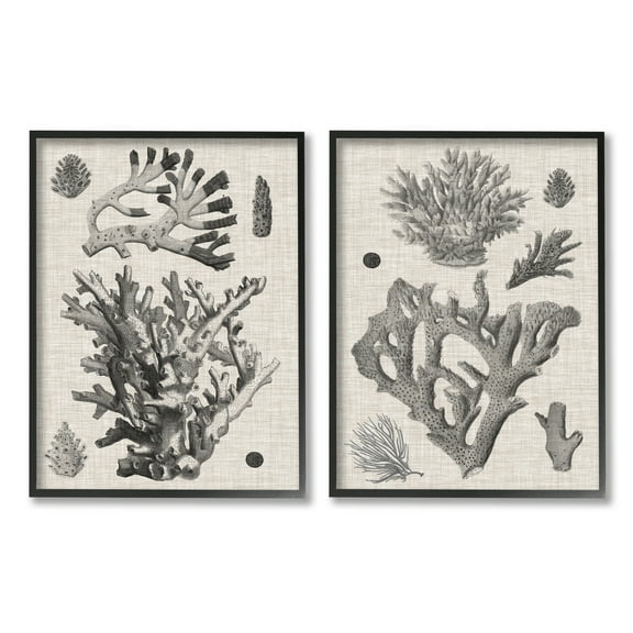 Stupell Industries Vintage Coral Study Animals & Insects Painting Black Framed Art Print Wall Art, 11 x 14, Set of 2