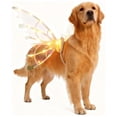 thumbnail image 5 of LED Light-up Dog Fairy - Adjustable Fit for Medium Large Dogs, Festive Christmas Pet Costume Accessory, Requires 4 AA Batteries (Not Included), Sparkling Pet , 21.26*35.83in, Multicolour, 5 of 9