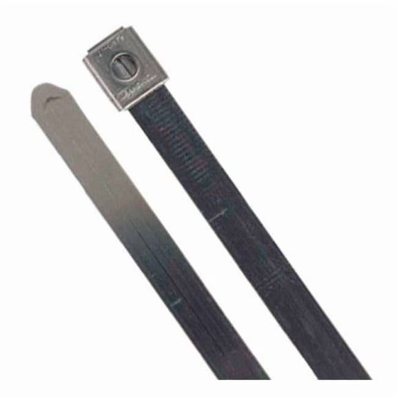 Ty-Rap Cable Tie,24 in,Silver,PK10 TYS24-470-10