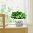 thumbnail image 7 of 1Pc Plastic Root Control Pot Rounded Flower Pots Practical Home Planting Pot, 7 of 7