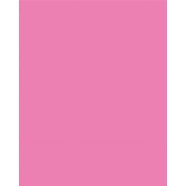 Dixon Ticonderoga PAC54071 Panneau d'Affichage, Rose Néon - 25 Unités