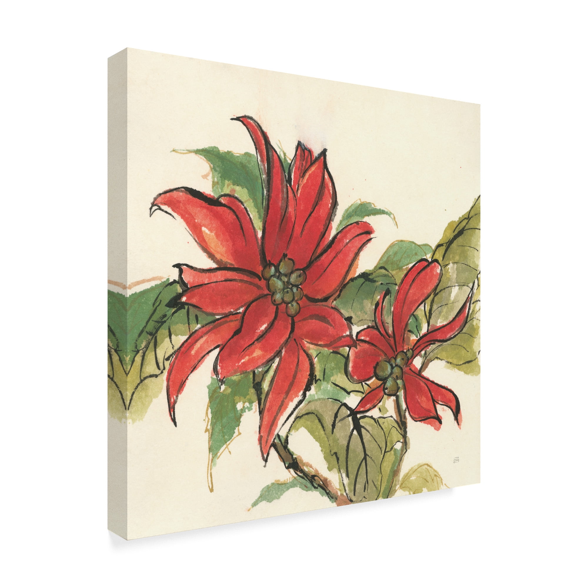 Trademark Fine Art 'Poinsettia II' Canvas Art by Chris Paschke
