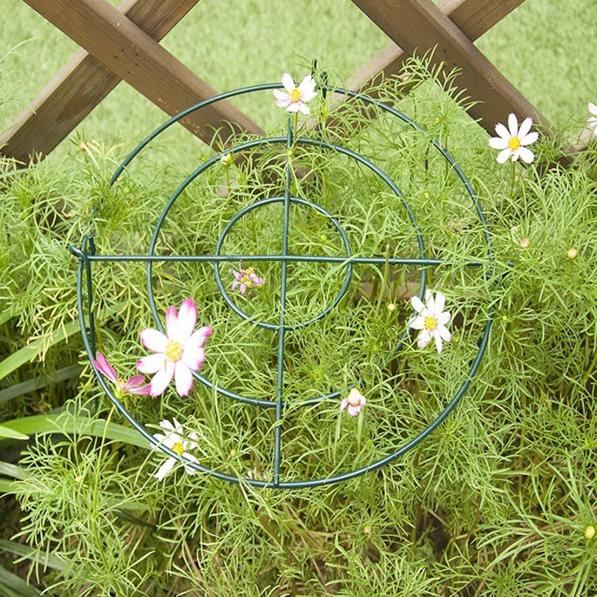 Travelwant Peony Cages and Supports Grow Through Plant Supports Ring