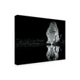thumbnail image 4 of Canvas Wall Art - Amnon Eichelberg 'Cheetah Still' Wall Art for Living Room, Bedroom, or Office D?cor by Trademark Fine Art - 47 x 35 Inches, 4 of 4