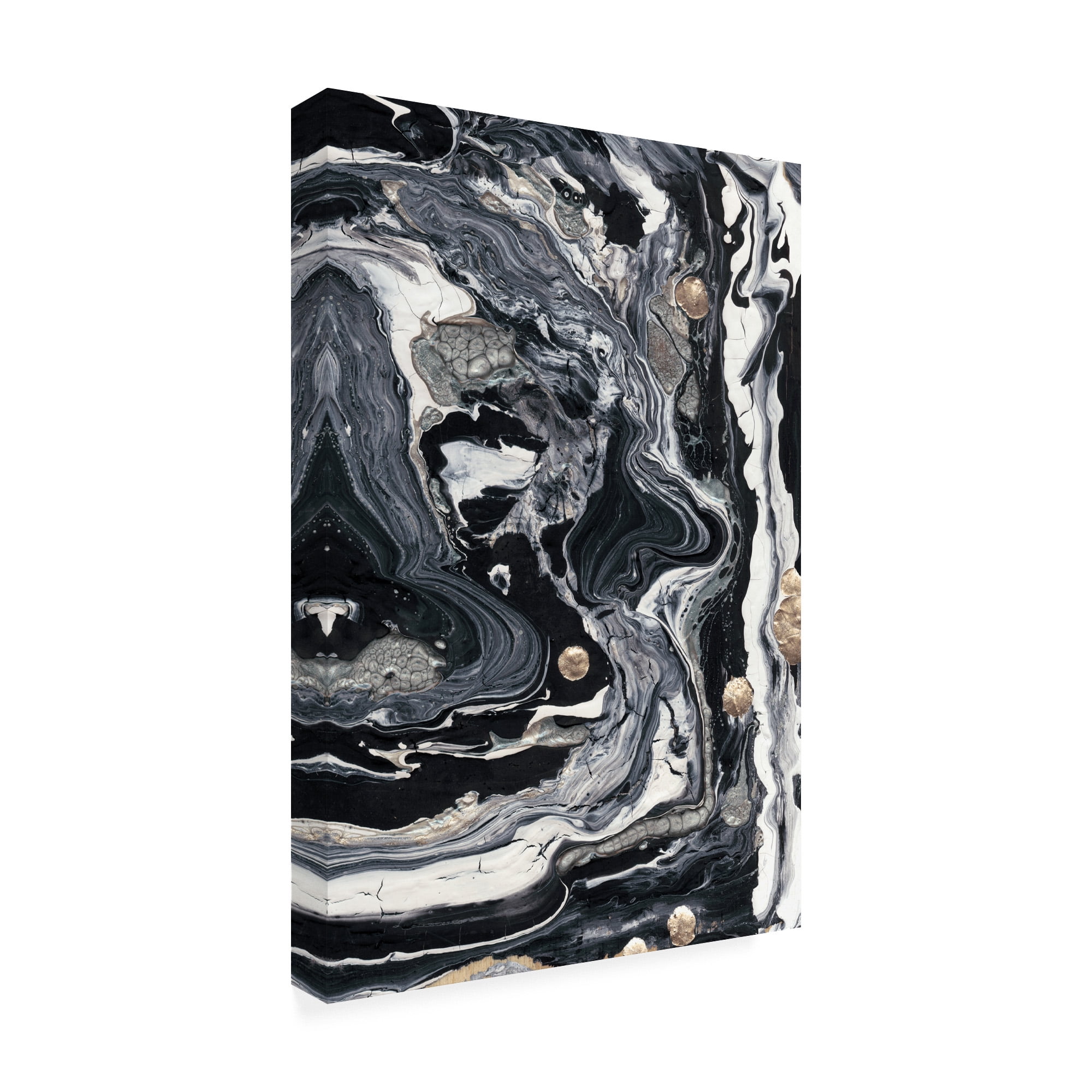 Ebony And Ivory II' Canvas Art by Alicia Ludwig