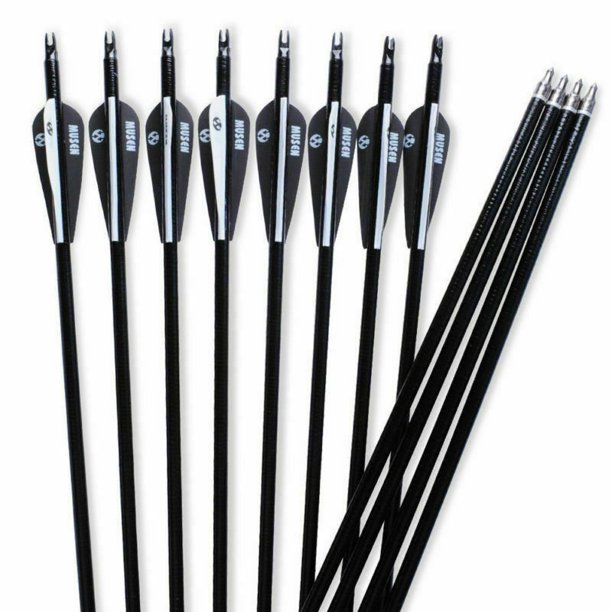 12PCS 30" Fiberglass Arrows SP500 Hunting Archery For Recurve Compound Sporting Bow