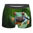 thumbnail image 3 of Haiem Red-Eyed Tree Frog Men's Boxer Briefs, Every Day Comfort Stretch Cotton Moisture-Wicking Underwear-X-Large, 3 of 8