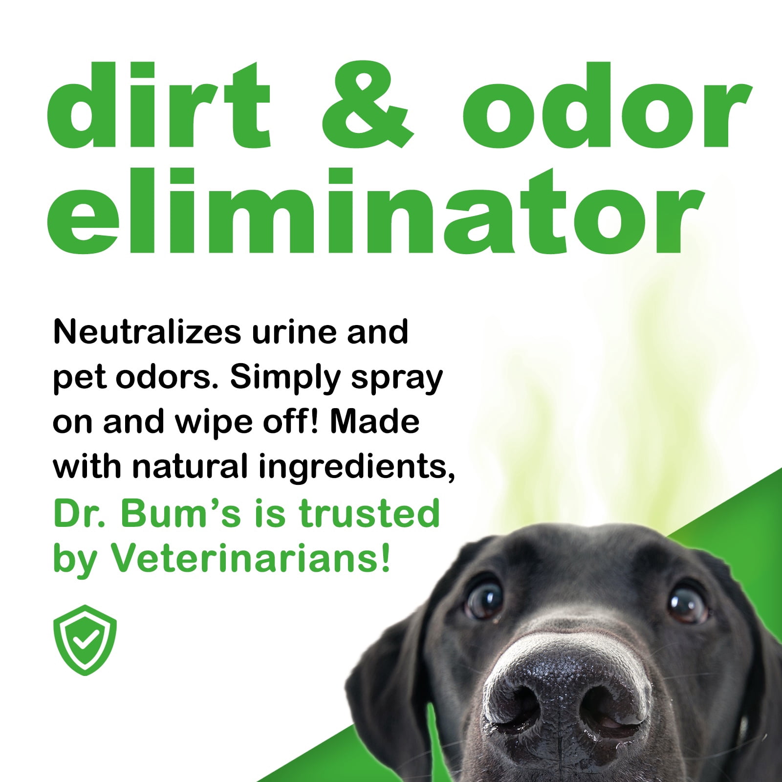 Doctor Bum's All Animal Dirt and Odor Eliminator for Dogs and Cats